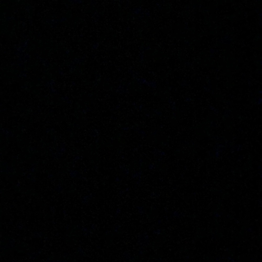 Meet your Posher, Bella